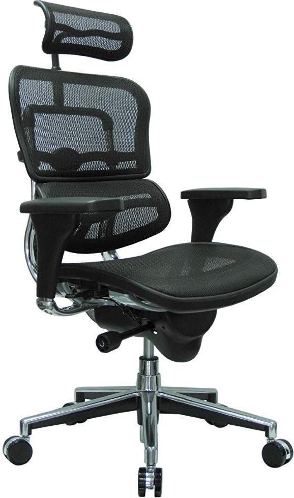 Raynor Ergohuman High Back Swivel Chair With Headrest