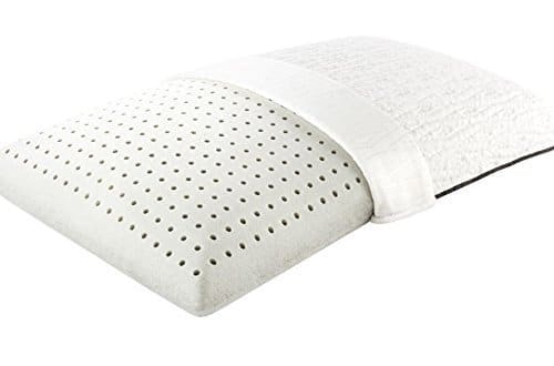 Beautyrest Black Ice Memory Foam Pillow